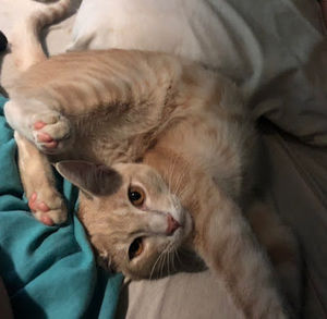 Meet your Posher, Jack